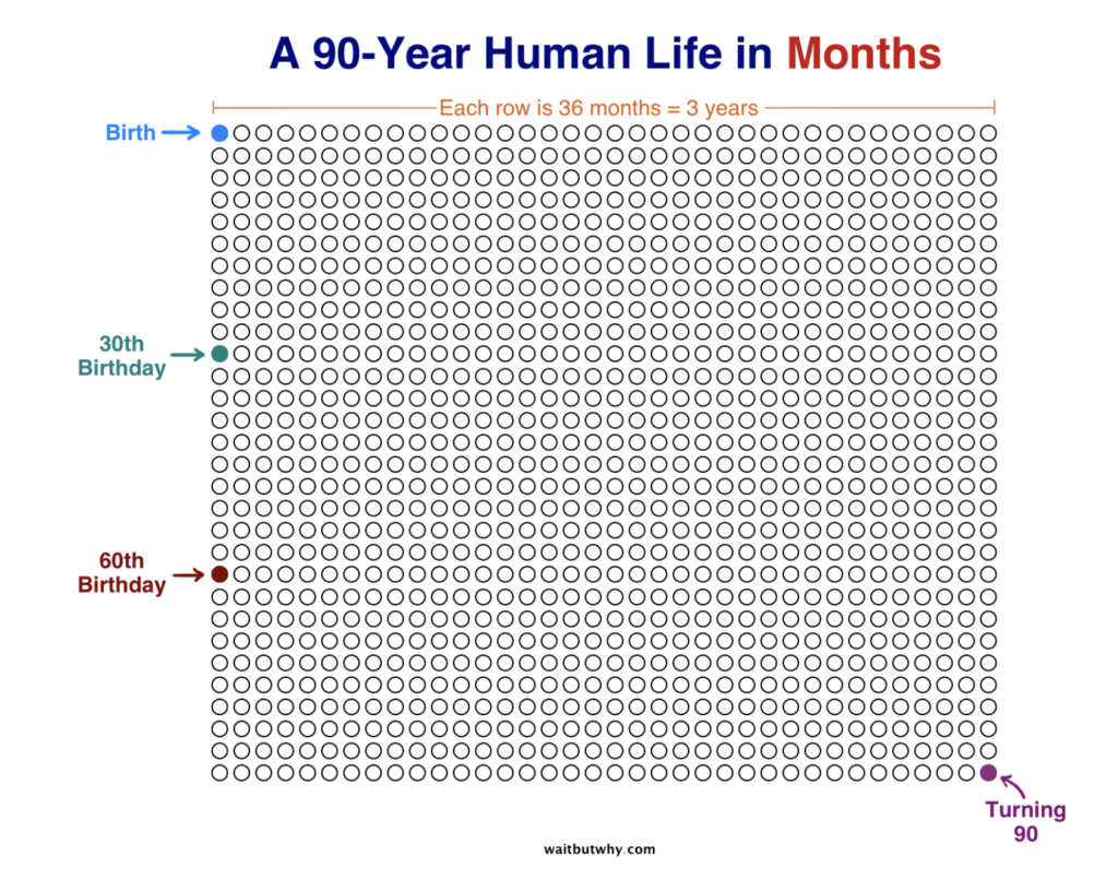 90 Year Human Life